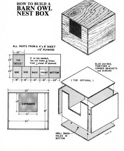 Owl Box Plans, Owl House Plans, Owl Boxes, Owl Nest Box, Flowers Backyard, Owl Box, Homemade Bird Houses, Natural Crafts, Garden Owl