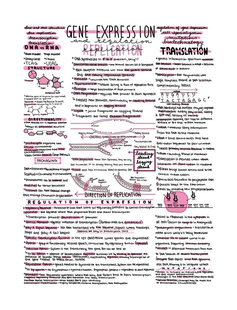 Introduction To Biology Notes, Ap Biology Notes High Schools, Ap Bio Notes Unit 1, Ap Bio Notes, How To Study For Ap Biology, Ap Bio Unit 1, A Level Biology Notes, Ap Biology Notes, Biology Revision Gcse