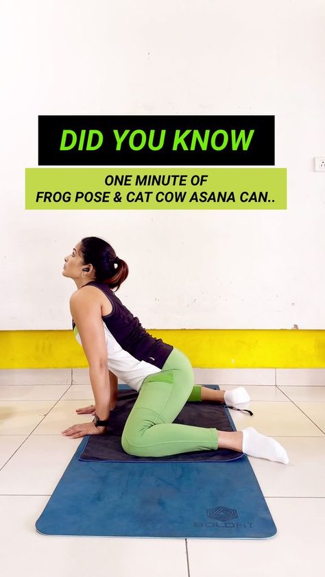 Frog Pose Yoga, Frog Pose, Body Practice, Hip Flexibility, Cat Cow, Holistic Fitness, Hip Mobility, Back Pain Exercises, Daily Yoga