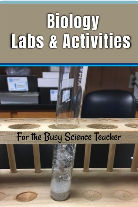 Biology Teacher Classroom, High School Biology Projects, Biology Activities High School, High School Science Classroom, Biology Experiments, Biology Activity, Teacher Created Materials, High School Special Education, High School Science Teacher