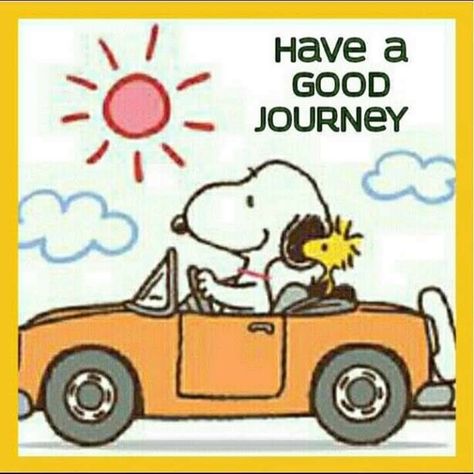 Paz Hippie, Safe Trip, Woodstock Snoopy, Have A Safe Trip, Woodstock Peanuts, Snoopy Comics, Snoopy Cartoon, Funny Emoji Faces, Snoopy Funny