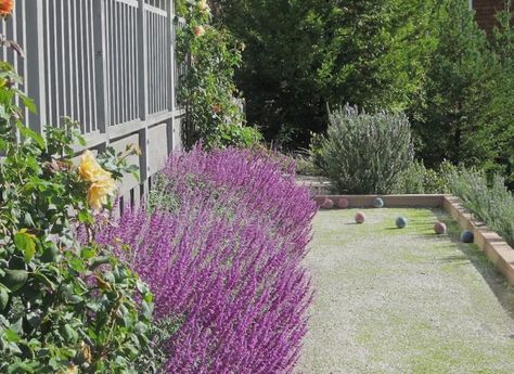 Pedersen bocce court- Gardenista French Garden Design, Bocce Ball Court, Bocce Court, Hillside Garden, Bocce Ball, Beach House Exterior, Mediterranean Landscaping, Budget Garden, Coastal Gardens