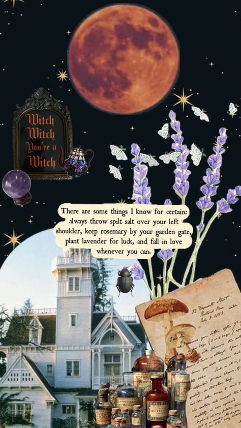 Practical magic season ✨ Practical Magic Quotes, Practical Magic Movie, Magic Birthday, Magic Party, Fall Mood Board, Magic Aesthetic, Season Of The Witch, Witch Aesthetic, Practical Magic