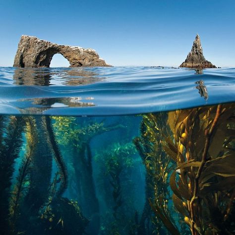 Channel Islands - CA  59 incredible photos of America's 59 national parks - Matador Network #nature Nature Photography Starověký Egypt, Channel Islands National Park, National Park California, California Photos, Channel Islands, Rock Formations, Alam Yang Indah, Places Around The World, Phuket