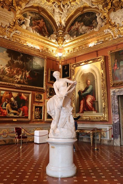 Pitti Palace Florence, Boboli Gardens, Pitti Palace, Royal Room, European Palace, Interior Design School, Baroque Art, Italian Garden, Design School