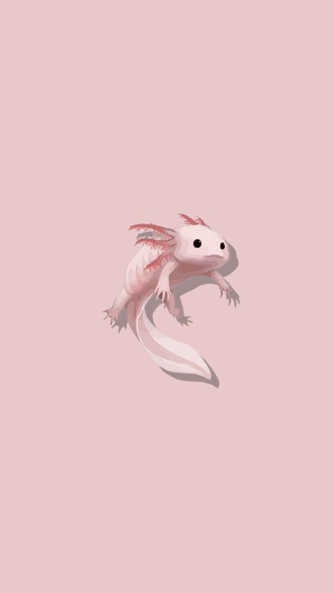 Especie ajolote Mexicano Axolotl Wallpaper Iphone, Cute Axolotl Wallpaper, Axolotl Wallpaper, Axolotl Cute, Kawaii Animals, Christmas Wallpaper, Wallpaper Iphone Cute, Wallpaper Aesthetic, Phone Wallpapers