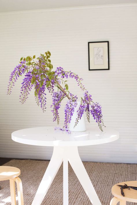 Mysterious Wisteria: An Irresistible Flower Goes from Vine to Vase Wisteria How To Grow, Perennial Flowering Vines, Indoor Plants Styling, Pergola Lighting, Garden Vines, Pergola Designs, Flowering Vines, Pretty Plants, Perennial Garden