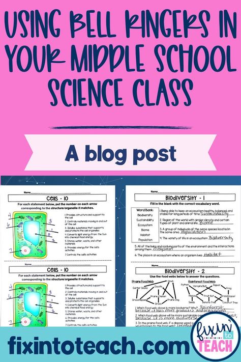 Are you a middle school science teacher that struggles with the beginning of each class period? I was that teacher until I started using bell ringers or warm-ups when students come into my classroom each day. In this blog post, I tell you how you can use bell ringers as a classroom management tool for 6th, 7th, or 8th grade. If you want your students to have a set routine when they enter your classroom each period and review concepts at the same time, this blog post is for you. Science Bell Work Middle School, Science Bell Ringers Middle School, Middle School Science Syllabus, Science Classroom Themes Middle School, Earth Science Classroom Decorations, Middle School Science Classroom Setup, 7th Grade Science Classroom, 8th Grade Science Classroom, Science Classroom Decorations Elementary