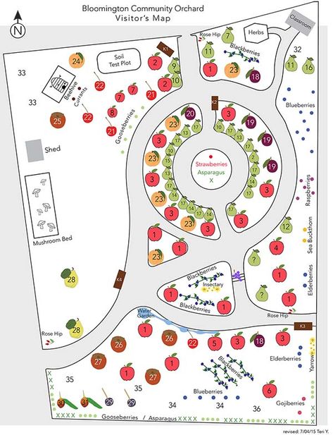 Fruit Garden Layout, Fruit Tree Garden, Fruit Orchard, Food Forest Garden, Orchard Design, Orchard Garden, Landscape Design Drawings, Growing Fruit Trees, Farm Plans