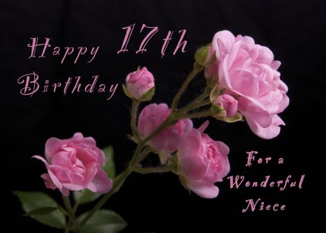 Happy 17th Birthday for a Niece, Pink roses card #Ad , #Ad, #Birthday, #Happy, #Niece, #card Happy 91st Birthday, Happy 56 Birthday, Happy 73rd Birthday, Happy 72nd Birthday, Happy 58th Birthday, Happy 66th Birthday, Happy 59th Birthday, Happy 51st Birthday, Happy 57th Birthday