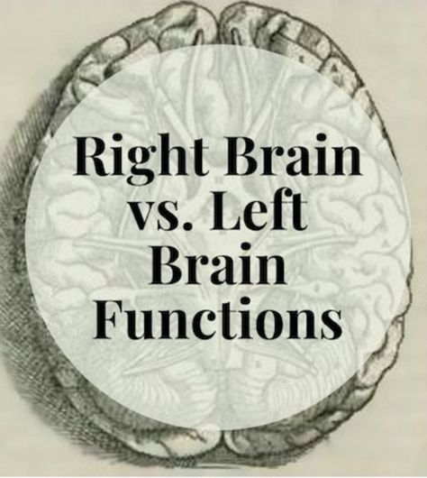 Right Brain Vs Left Brain, Apologia General Science, Brain Anatomy And Function, Intro To Psychology, Right Side Of The Brain, Left Brain Right Brain, Healing Water, Brain Mapping, Left Brain