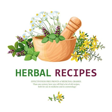 Free vector medicinal herbs in mortar il... | Free Vector #Freepik #freevector #pestle #herbal-medicine #mortar-pestle #herbal-herbs Herbal Logo, Herbs Illustration, Plant Logos, Herbal Recipes, Plant Illustration, Old Recipes, Plant Art, Medicinal Herbs, Medicinal Plants