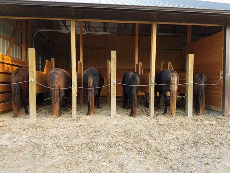 Horse Feeding Station, Horses Breeds, Equestrian Stables, Horse Ownership, Horse Farm Ideas, Barn Stalls, Stable Ideas, Paddock Paradise, Horse Barn Designs