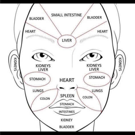 70.6k Likes, 2,313 Comments - THE UNICORN (@erykahbadu) on Instagram: “Most times I can look at your face and tell how healthy you are and what's going on in your life.…” Pimples On Face Meaning, Pimple Meaning, Face Skin Problems, Face Mapping Acne, Body Toxins, Pimples On Face, Face Mapping, Acne Causes, Heart And Lungs