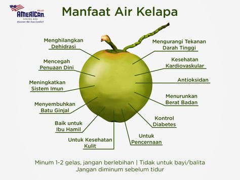 Sahabat, adainfo mengenai manfaat air kelapa. Semoga bermanfaat.  #AmericanPilloInfo #Buah #fruits #Kelapa #coconut #Kesehatan #Sehat #healthy #Infosehat #gayahidup #lifestyle Tips Kesehatan, Herbal Therapy, Air Kelapa, Fruit Benefits, Homemade Drinks, Healthy Lifestyle Food, Herbs For Health, Health Knowledge, Easy Cooking Recipes