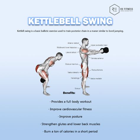 5 Benefits of Kettlebell Swing - R3 Fitness Benefits Of Kettlebell Swings, Kettlebell Swing Benefits, Bell Workout, Endomorph Body Type, Kettlebell Benefits, Lower Body Muscles, Lower Back Muscles, Kettle Bell, Kettlebell Swings