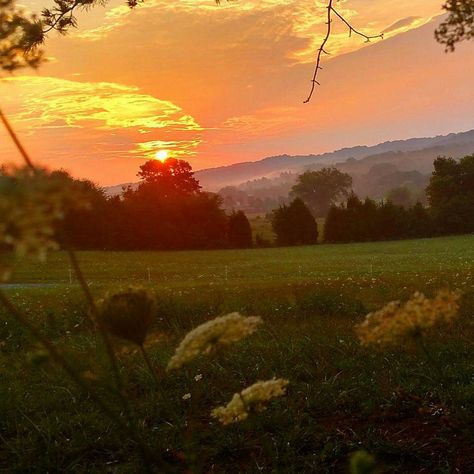 Sunshine Asthetic Picture, Yellow Landscape Aesthetic, Yellow Field Aesthetic, Flower Field Sunset Aesthetic, Country Sunrise Aesthetic, Sunset Farm Aesthetic, Heaven On Earth, Pretty Places, Sunrise Sunset