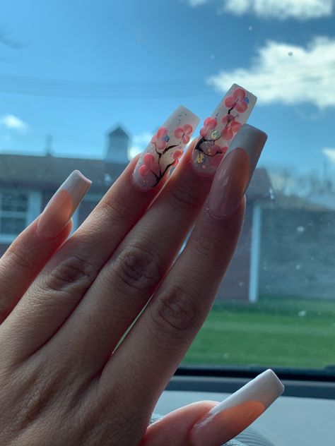 Cherry Blossom Tree Nails, Cherry Blossom Nails Acrylic, Cherry Blossom Nails, Tree Nails, Dried Cherries, Cherry Blossom Tree, Spring Blossom, Pink Acrylic Nails, Sweet 16