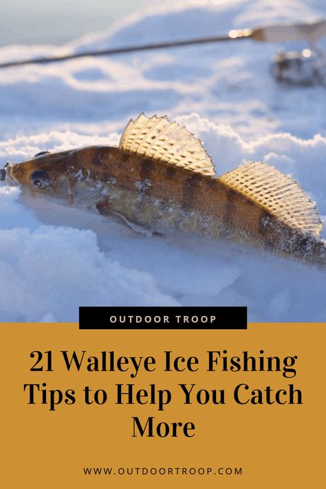 21 Walleye Ice Fishing Tips to Help You Catch More – Outdoor Troop Ice Fishing Humor, Ice Fishing Walleye, Ice Fishing Diy, Ice Fishing Shack, Walleye Fishing Tips, Ice Fishing Tips, Ice Fishing Jigs, Ice Fishing Gear, Ice Fishing Lures