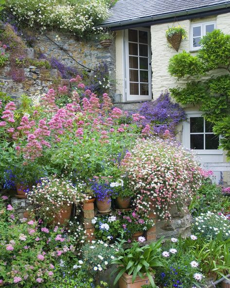 Garden With Lots Of Pots, Container Garden Front Yard, European Yard, Theme Living Room Ideas, Patio Plants In Pots, Pot Garden Ideas, Eclectic Backyard, Cottage Garden Patio, Living Drawing