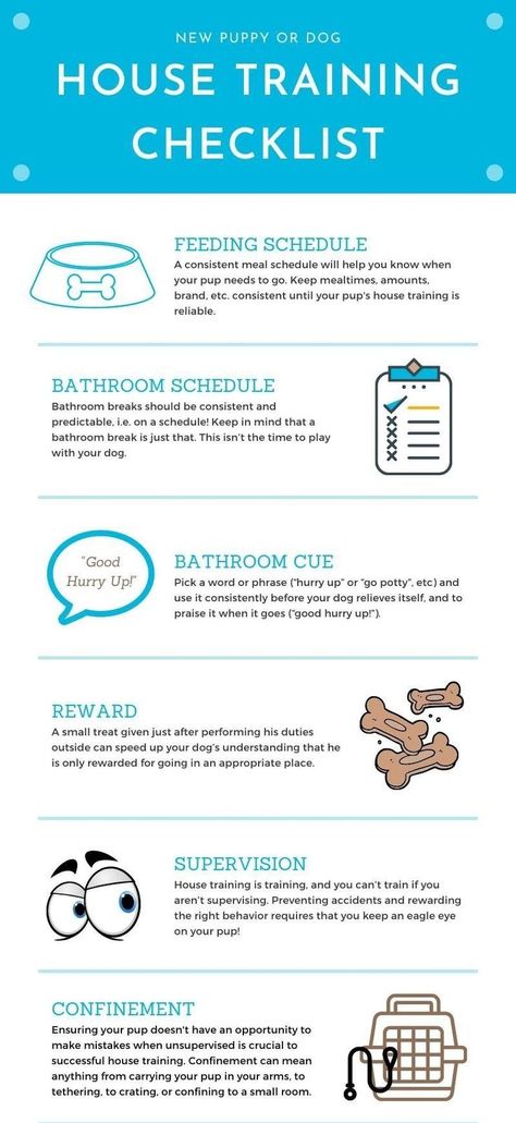 First Time Dog Owner Tips, Keeping Puppy Busy Ideas, Puppy Setup, Puppy Check List, New Dog Checklist, Training Checklist, Health Checklist, Puppy List, Grooming Hacks