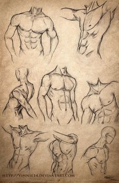 Male Body Drawing, Human Anatomy Drawing, Body Sketches, Body Drawing Tutorial, Human Anatomy Art, Anatomy Sketches, Different Poses, Drawing Faces, Character Sketches