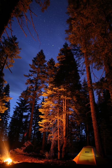 This is a long exposure image of a camp site in Tahoe National Forest. More print sizes available upon request. Fire In The Forest, Aesthetic Camping, Forest Camp, Camping Inspiration, Camping Vibes, 15 Aug, Camping Aesthetic, Camping Photography, Fall Camping