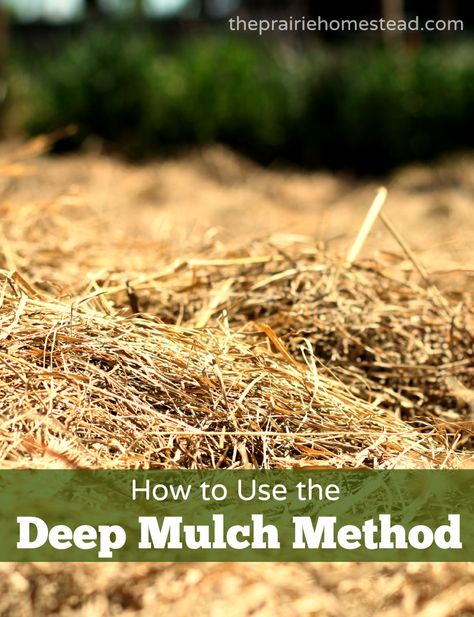 How to Deep Mulch Your Garden with Hay-- hoping this saves time on weeding and watering! Mulch Ideas, Permaculture Farming, Pergola Pictures, Making Plant Pots, Magic Garden, Garden Shrubs, Green Garden, Growing Food, Pool Landscaping