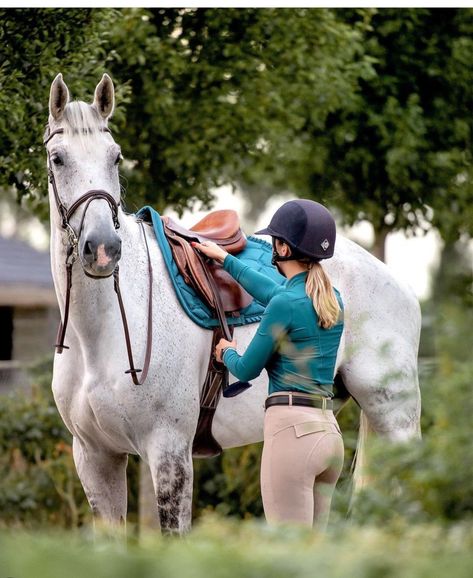 Equestrian Photoshoot, Dutch Warmblood, Equestrian Outfit, Horse Art Drawing, Horse Riding Outfit, English Horse, Horse Riding Clothes, Horse Fashion, Horse Pony