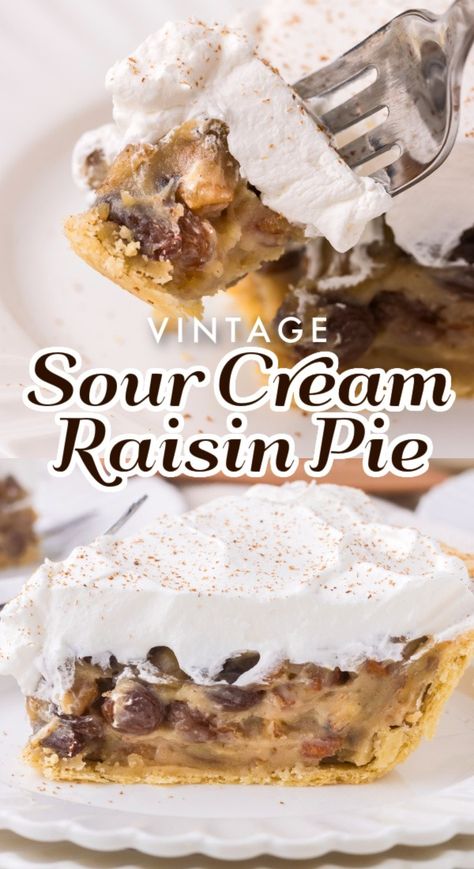 An old-fashioned raisin cream pie recipe made with sour cream, warm spices, pecans Raisin Cream Pie, Raisin Pie Recipe, Sour Cream Raisin Pie, Raisin Pie, Cheesecake Oreo, Cream Pies, Southern Desserts, Rum Raisin, Recipe Dessert