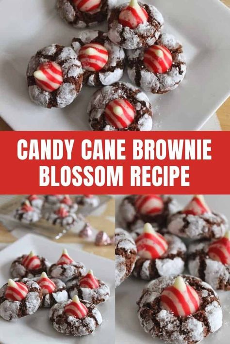 Candy Cane Brownie Blossom Recipe Brownie Blossom Cookies, Baking List, Bakers Chocolate, Blossom Cookies, Christmas Cookie Exchange, Kinds Of Cookies, Sugar Cookie Frosting, Crinkle Cookies, Candy Cookies