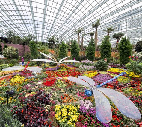 Flower Dome Tourism Design, German Town, Flower Dome, Singapore Garden, Dome Structure, E Ticket, American Garden, Visit Singapore, North Bay