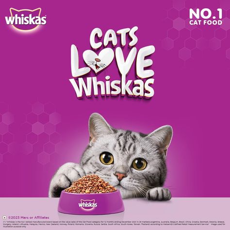 Unlock the Secret to a Happy, Healthy Cat with @whiskasindia Tuna! Whiskas Dry Cat Food for Adult Cats (1+ Years), Tuna Flavour, 20 kg https://amzn.to/4cBrSCW Whiskas Cat Food, Corn Rice, Soy Bean, Cat Ages, Healthy Cat, Balanced Nutrition, Dry Cat Food, Cat Feeding, Food Chicken