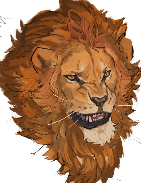 Lion Anatomy, Lion Head Drawing, Lion Face Drawing, Big Cats Drawing, Lion Drawing, Animal Drawings Sketches, Big Cats Art, Anatomy Sketches, Lion Art