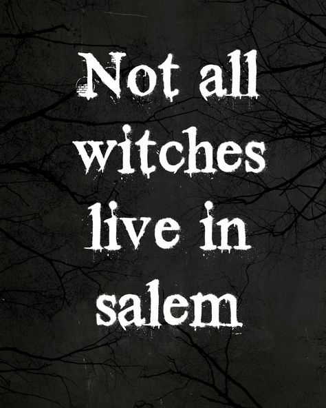 Not all witches live in Salem. Which Witch, Witch Quotes, Halloween Wallpaper Cute, Dark Witch, Witch Magic, The Good Witch, Season Of The Witch, Halloween Quotes, Witch Aesthetic