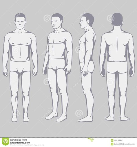 Human Body Illustration, Body Illustration, Illustration Of People, Man Silhouette, Human Body Anatomy, Body Anatomy, Modern Graphic Design, Human Anatomy, Graphic Design Typography