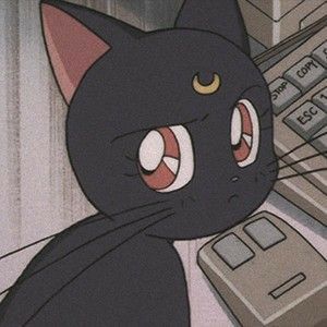 Black Cat, Moon, Anime, Black