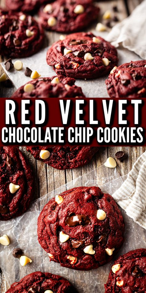 Soft & gooey red velvet chocolate chip cookies, made with cream cheese and a hint of cocoa. These are so killer! Colossal Cookies, Red Velvet Chocolate Chip Cookies, Red Velvet Cookie Recipe, Red Velvet Chocolate, Easy Red Velvet, 2023 Recipes, Velvet Cookies, Red Velvet Cookies, White Chocolate Chip Cookies