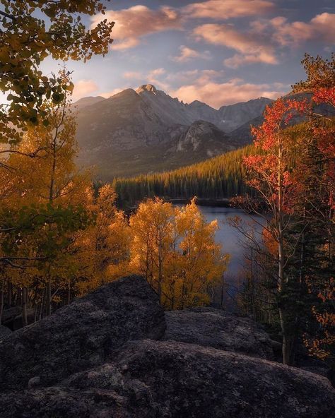 Autumn Landscape Photography Inspiration Autumn Sunrise, Mountains And Trees, Beautiful Landscape Photography, Mountains Photography, Mountain Photography, Autumn Nature, The Rockies, Autumn Scenery, Colorado Mountains