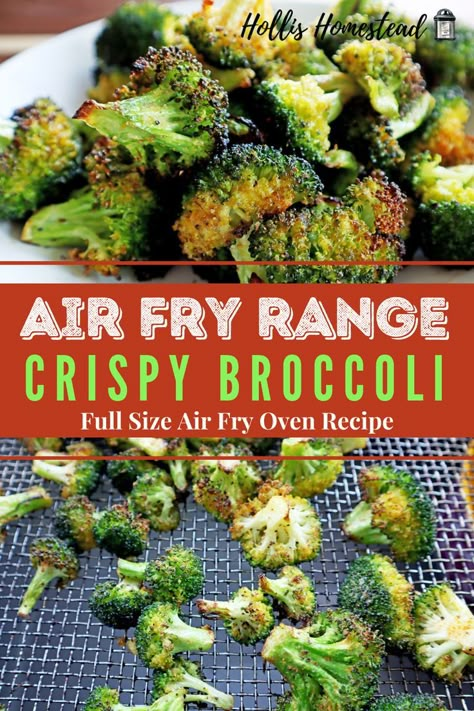 Frigidaire Oven Air Fryer Broccoli recipe Broccoli In The Air Fryer, Air Fried Broccoli, Oven Broccoli, Air Fryer Broccoli, Air Fry Oven, Fried Veggies, How To Cook Broccoli, Fried Broccoli, Oven Recipe