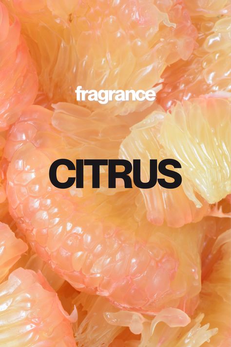 Discover the refreshing, citrus perfumes with notes of lemon, lime, orange, and more! Video Production Aesthetic, Fragrance Photoshoot, Perfume Moodboard, Perfume Orange, Macro Food Photography, Perfume Ideas, Perfume Ads, Citrus Perfume, Fresh Scents