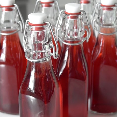 Grape Kombucha, Kombucha Starter, Homemade Kombucha, Kombucha Recipe, Grape Recipes, Kombucha Tea, Sparkling Cider, Grape Juice, Ketchup Bottle