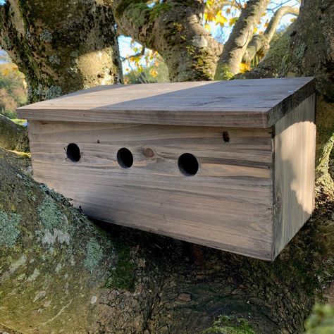 Sparrow Nest, Butterfly Habitat, Hedgehog House, Nest Box, Sparrow Bird, Wood Roof, Bird Care, Nesting Box, Wildlife Gardening