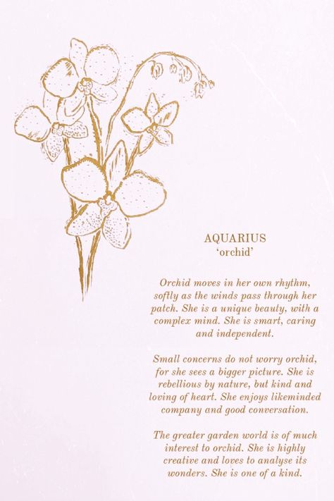 Aesthetic Aquarius Tattoo, Aquarius Tatoos Aesthetic, Aquarius Username Ideas, Quotes About Aquarius, Aquarius Birthday Aesthetic, Aquarius Tattoo Water Bearer, Aquarius Tattoo Flower, Tattoos For Aquarius, Aquarius Spirituality