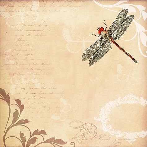 Background, Background Image, Wallpaper, Dragonfly Fashion Style Aesthetic, Dragonfly Illustration, Dragonfly Images, Dragonfly Drawing, Handmade Journals Diy, Beige Fashion, Free Vintage Printables, Vintage Flower Prints, Vintage Background