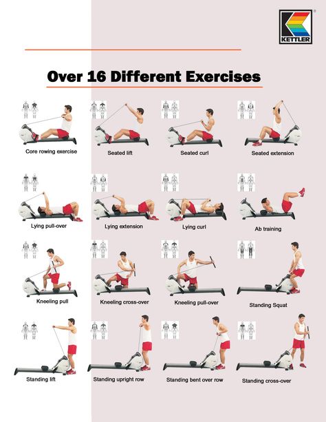 Kettler's Coach Rower's Exercises...love my new rower! Indoor Rowing Workout, Exercise Chart, Rower Workout, Rowing Machine Workout, Desk Workout, Rowing Workout, Indoor Rowing, Pilates Reformer Exercises, Pilates Exercise