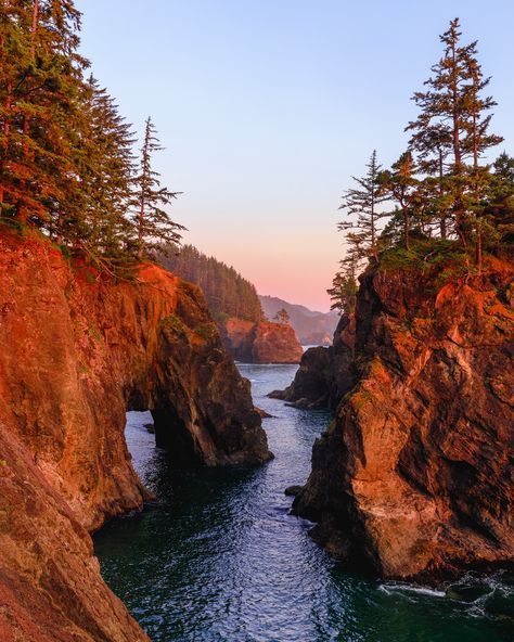 the oregon coast never fails to amaze me. 🌊 Corvallis Oregon Aesthetic, Bend Oregon Aesthetic, Organ Coast, Oregon Coast Roadtrip, Oregon Aesthetic, Oregon Coastline, Oregon Life, Corvallis Oregon, West Coast Road Trip