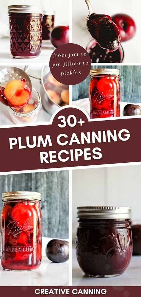 Check out over 30 preserving fruit recipes focused on canning plums. From pickled plums to plum chutney, this collection of plum canning recipes has it all. Learn the ins and outs of how to can plums and experience the joy of having homemade plum treats year-round. Plum Conserve Recipe, Spiced Plums Canning, Plum Chutney Recipe Canning, Black Plum Jam Recipe, Canned Plums What To Do With, Plum Pie Filling Canning, Canning Italian Plums, Plum Syrup Recipe For Canning, Canned Plum Jam