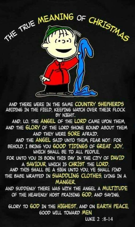 A Charlie Brown Christmas: Linus' Christmas Speech Charlie Brown Christmas Party Ideas, Charlie Brown Christmas Wallpaper, Christmas Bible Quotes, Charlie Brown Christmas Quotes, Movie Night Recipes, Charlie Brown Christmas Party, Charlie Brown Christmas Decorations, Quotes Biblical, Christmas Speech