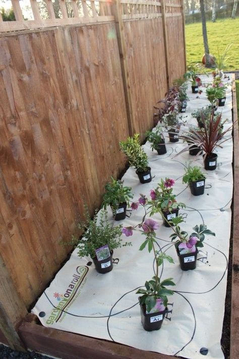 How to plant the perfect border – Gardenonaroll - Gardening - Learning with Experts Plant By Numbers Gardens, Corner Flower Garden, Small Garden Party Ideas, Small Garden Borders, Garden Border Ideas, Small Garden Inspiration, Tattoo Plant, Flower Garden Plans, Narrow Garden